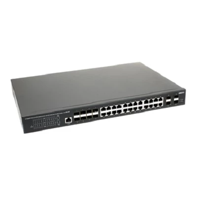 SW-24G4X-2L