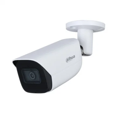 DH-IPC-HFW3241EP-S-0600B-S2