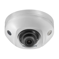 DS-2CD2543G0-IS (4mm)