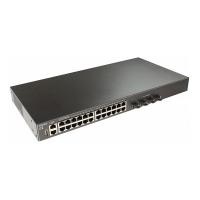 SW-24G4X-L3ST