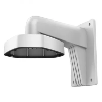 DS-1273ZJ-DM25(M1)